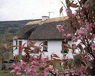 Connemara Country Cottages Glentrasna Bagian luar foto